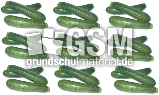 Zucchini-9x3.jpg